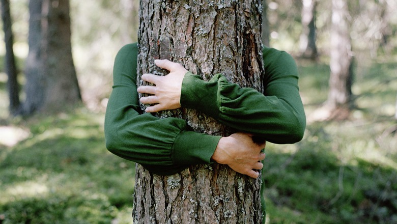 Händer kramar ett träd