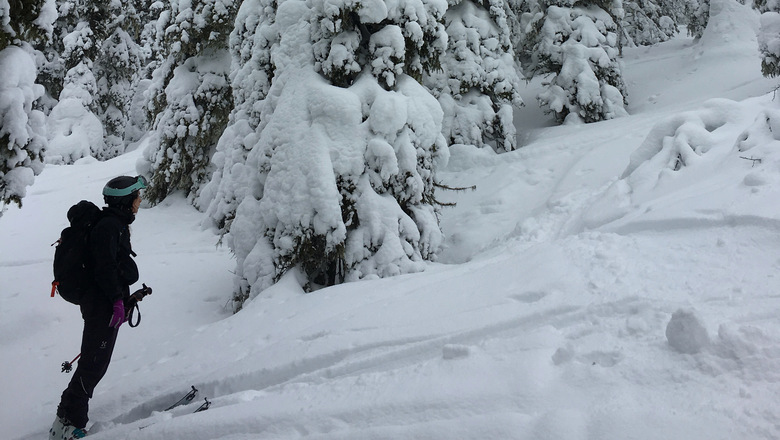 En skidåkare i en snötäckt granskog.