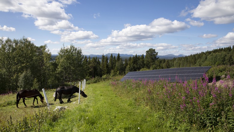 solceller i idyllisk miljö bredvid hästhage med fjällutsikt